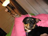 Flash2 - ADOPTED 12.18.11