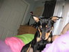 Flash2 - ADOPTED 12.18.11