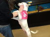 Fd Litter-Sugarbaker - ADOPTED 12.03.11