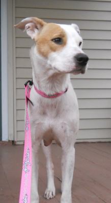 Fd Litter-Sugarbaker - ADOPTED 12.03.11