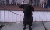 Bixby-ADOPTED-1.16.12