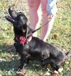 Bixby-ADOPTED-1.16.12