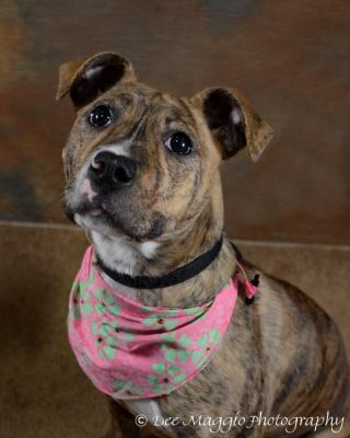 Miss Flower-SMART-PENDING!