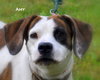Amy-ADOPTED 11.12.11