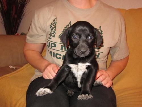 Md Litter-Mae-PENDING
