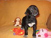 Md Litter-Mae-PENDING