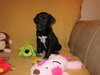 Md Litter-Mae-PENDING