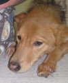 Friday - ADOPTED 11.26.11