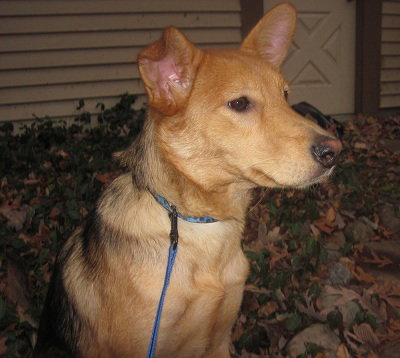 Friday - ADOPTED 11.26.11