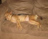 Friday - ADOPTED 11.26.11