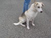 Thursday - ADOPTED 12.08.11