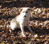 Thursday - ADOPTED 12.08.11
