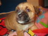 Od Litter-Charle-ADOPTED-1.7.12