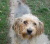 Fuzzy - ADOPTED 01.22.12
