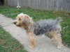Fuzzy - ADOPTED 01.22.12