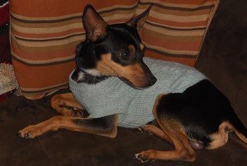 Russo - ADOPTED 12.06.11