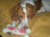 Willow-ADOPTED 12.31.11