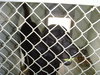 Titan-ADOPTED-2.25.12