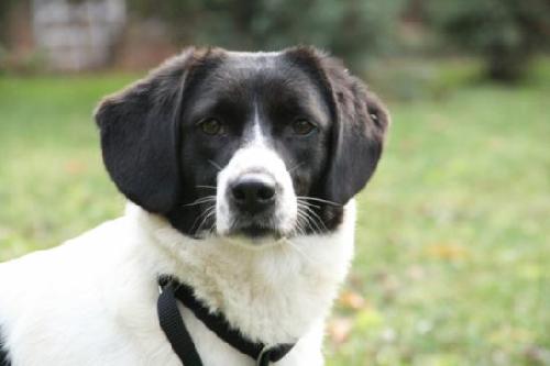Prudence - ADOPTED 12.04.11