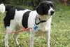 Prudence - ADOPTED 12.04.11