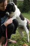 Prudence - ADOPTED 12.04.11