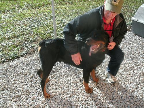 Maximus - ADOPTED 08.31.12