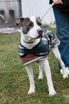 Zeus-ADOPTED 2.19.12