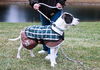 Zeus-ADOPTED 2.19.12