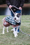 Zeus-ADOPTED 2.19.12