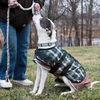Zeus-ADOPTED 2.19.12