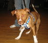 Zoe-ADOPTED-3.7.12