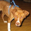 Zoe-ADOPTED-3.7.12