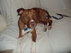 Zoe-ADOPTED-3.7.12