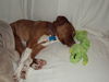 Zoe-ADOPTED-3.7.12