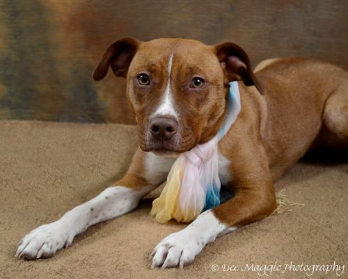 Zoe-ADOPTED-3.7.12