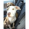 Ricky-ADOPTED 12.26.11