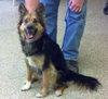 Timmy - ADOPTED 02.07.12
