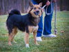 Timmy - ADOPTED 02.07.12