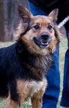Timmy - ADOPTED 02.07.12