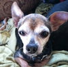 Ross - ADOPTED 06.17.12