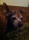 Ross - ADOPTED 06.17.12