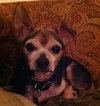 Ross - ADOPTED 06.17.12