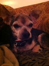 Ross - ADOPTED 06.17.12