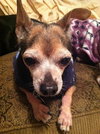 Ross - ADOPTED 06.17.12
