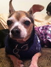 Ross - ADOPTED 06.17.12