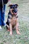 Romeo-ADOPTED 01.03.12