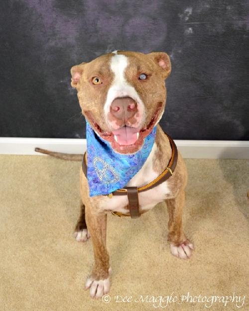 Rudolf-ADOPTED 07.21.12