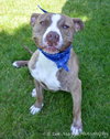 Rudolf-ADOPTED 07.21.12