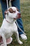 Sozo-ADOPTED 09.06.13
