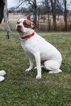 Sozo-ADOPTED 09.06.13